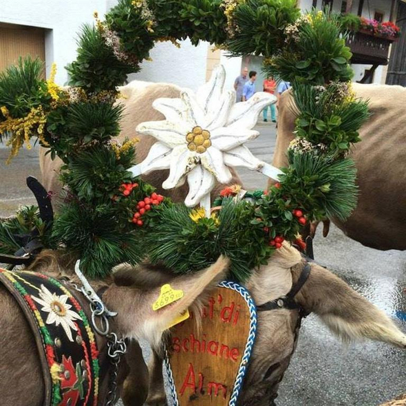 Traditioneller Almabtrieb von der Schlickeralm
