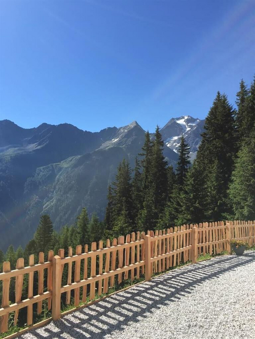 Milderaunalm Sommer 3