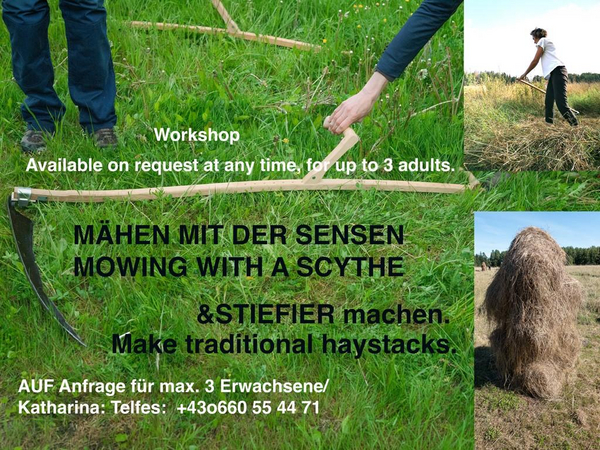 Mähen mit Sense1